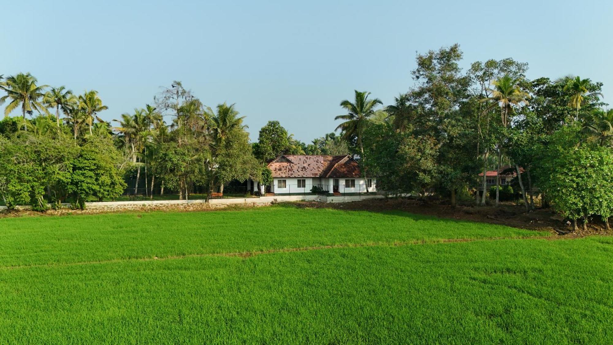 Paadam By The Backwaters Кумараком Экстерьер фото